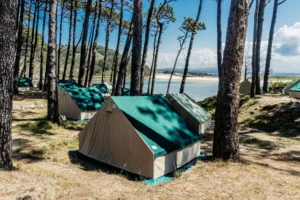 camping ilhas cies